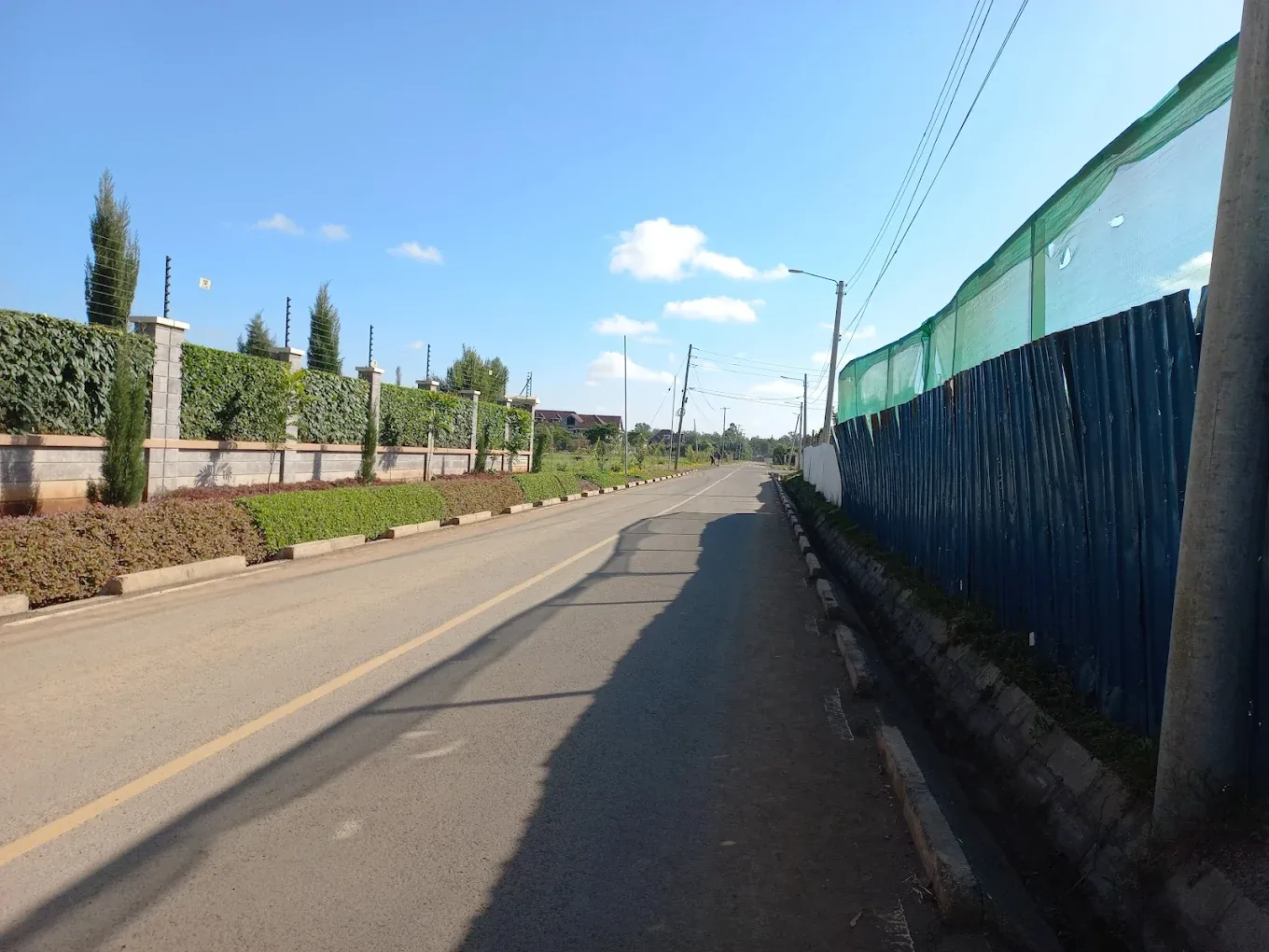 The Baobab Karen thumbnail 6