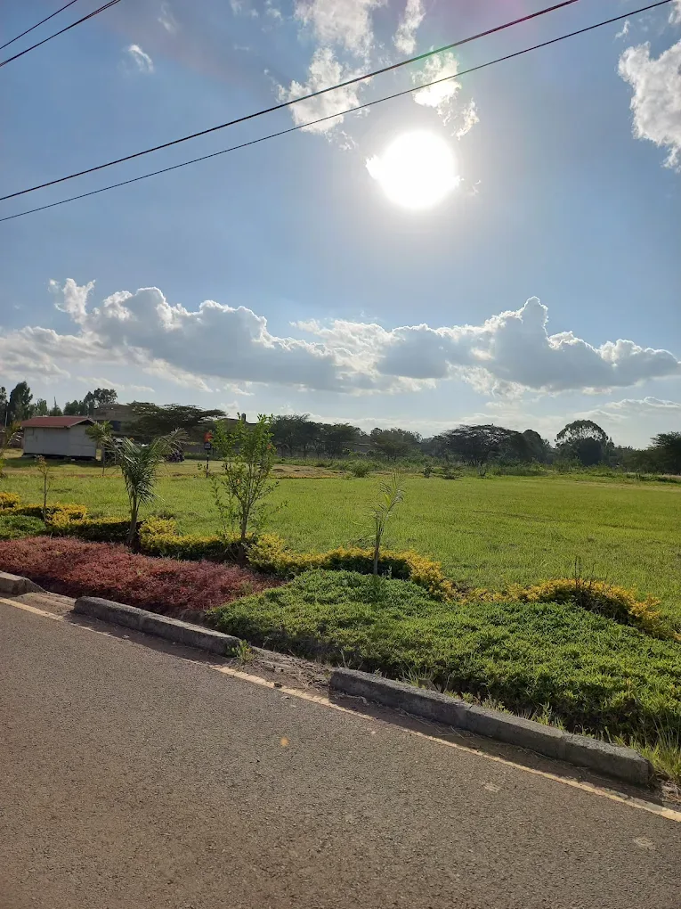 The Baobab Karen thumbnail 7