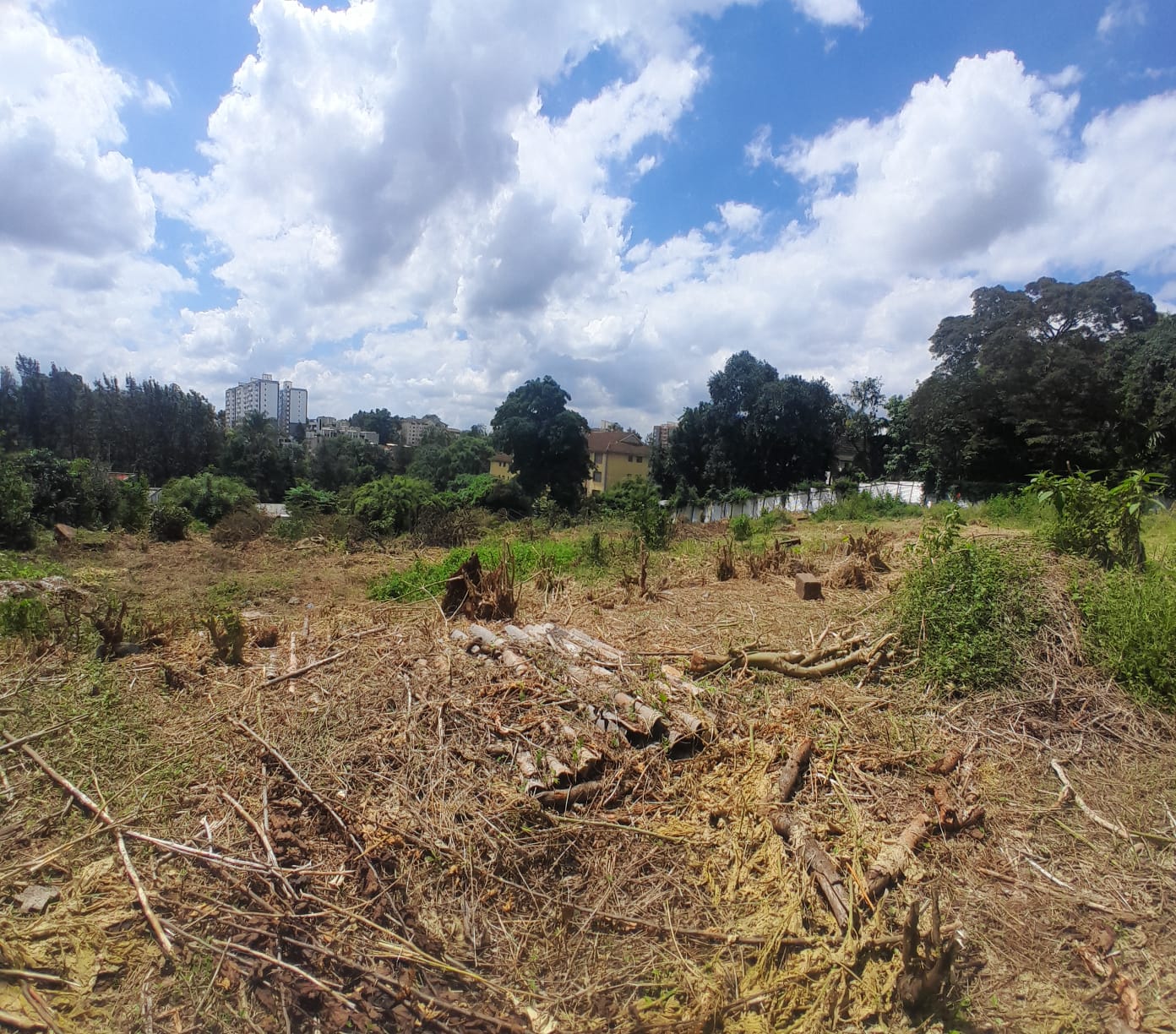 1.3 Acre Land for Sale in Kilimani thumbnail 6