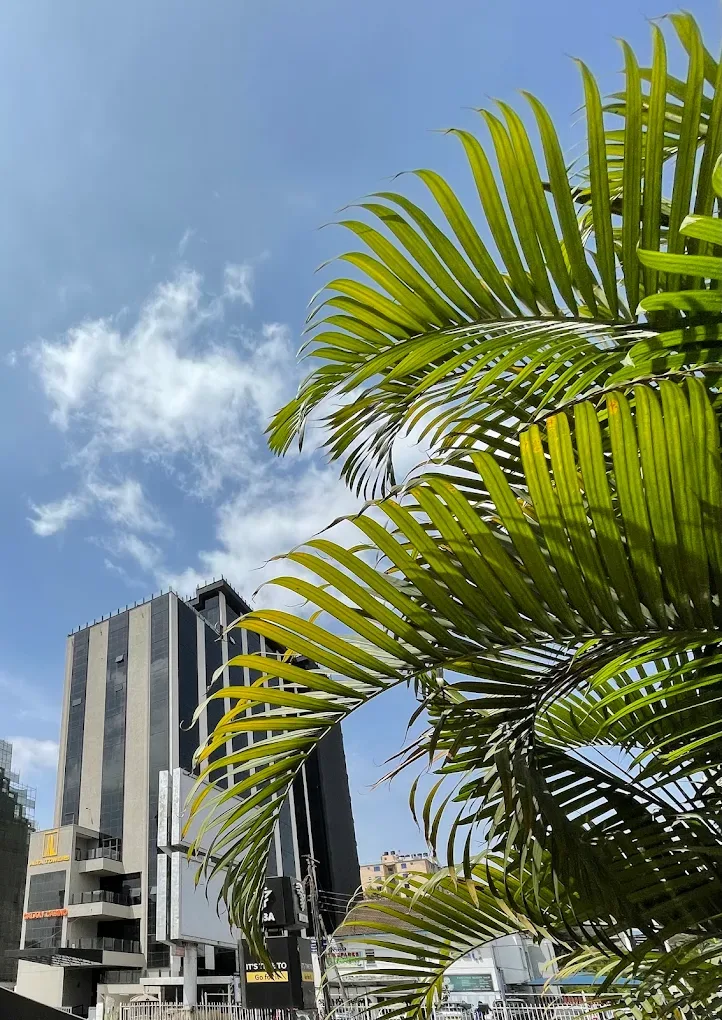 Alta Towers house in Kilimani photo 2