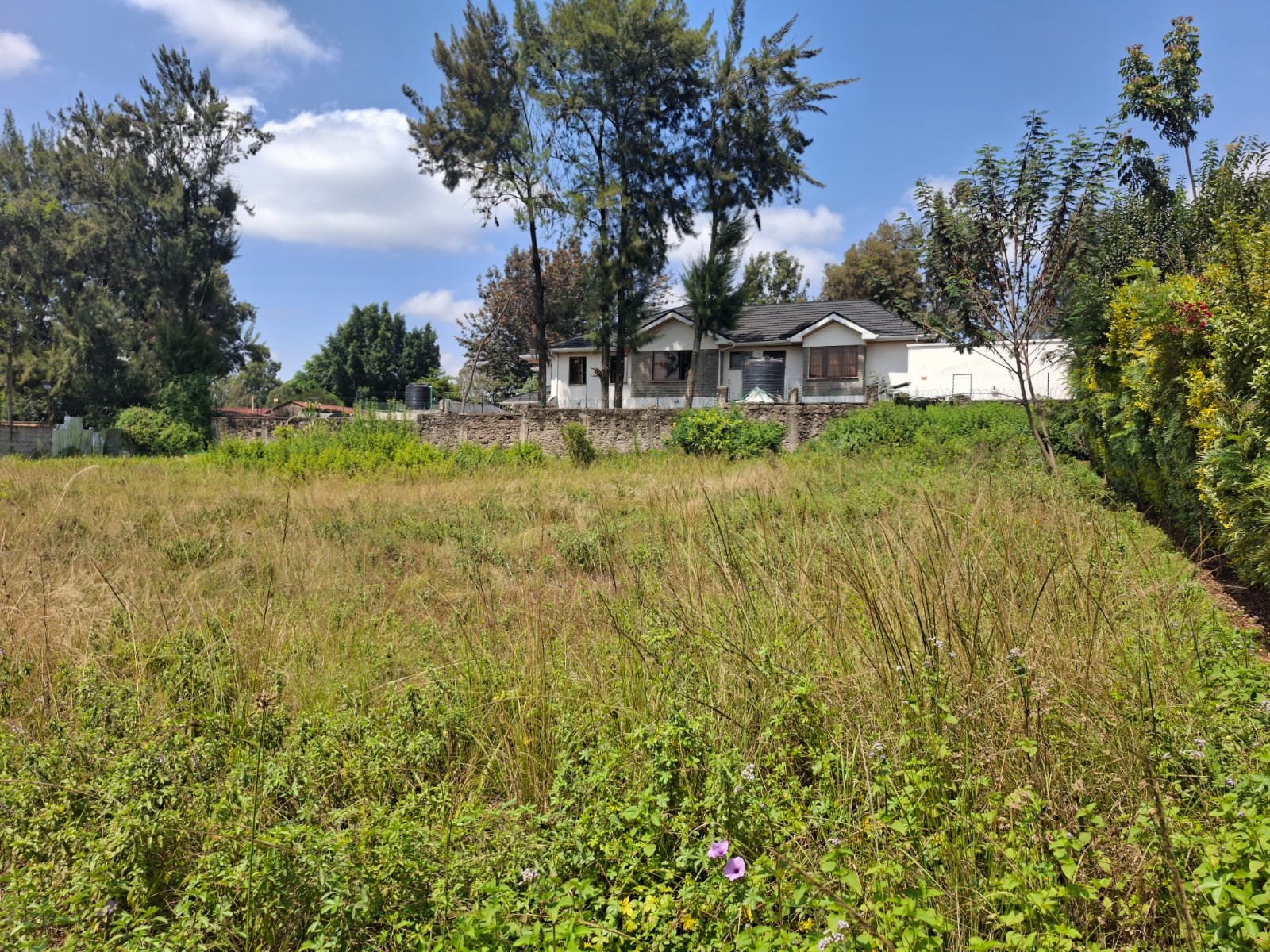 0.5 Acre Land - LAND in Karen photo