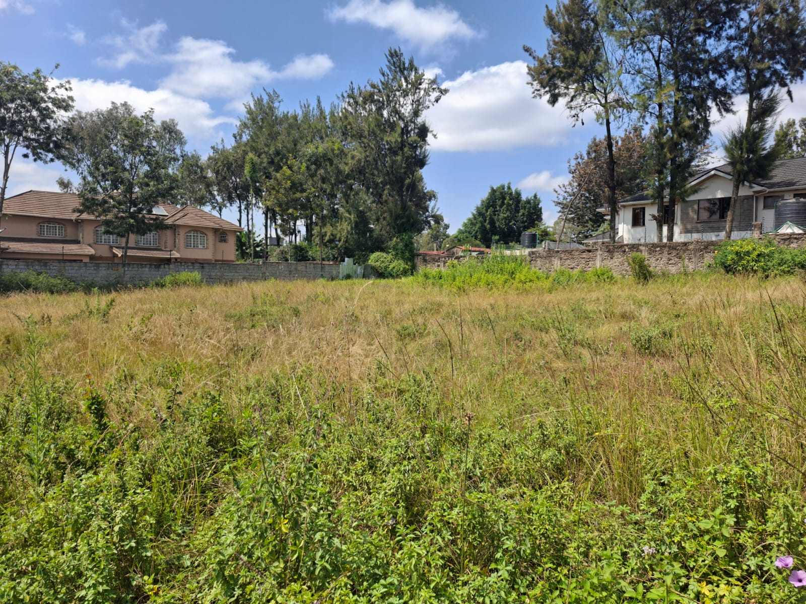 0.5 Acre Land for Sale in Karen land for sale in Karen photo 4