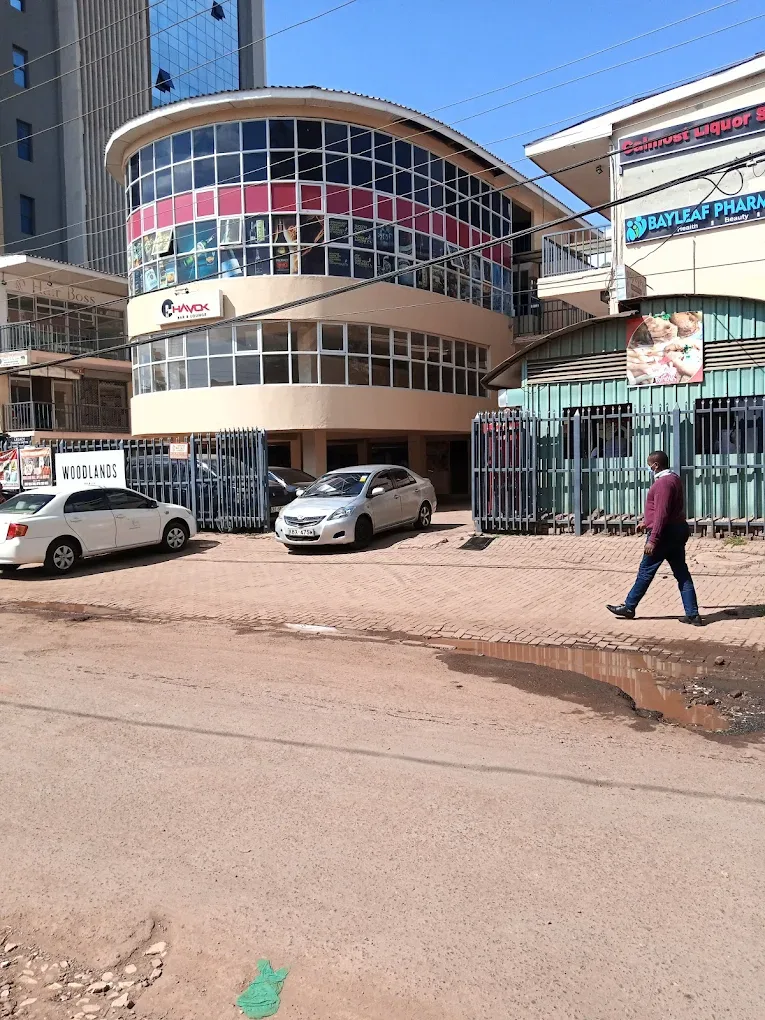 Woodlands Mall house in Kilimani photo 2