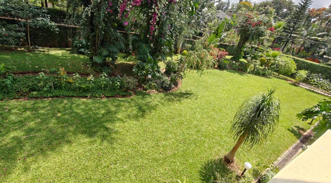 Mukinduri Gardens thumbnail 2