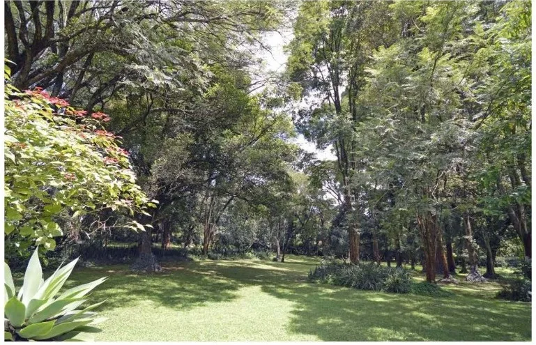 Mwitu Estate thumbnail 3