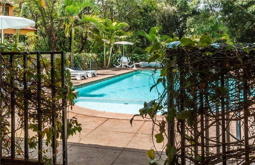 Dik Dik Gardens - House in Karen photo