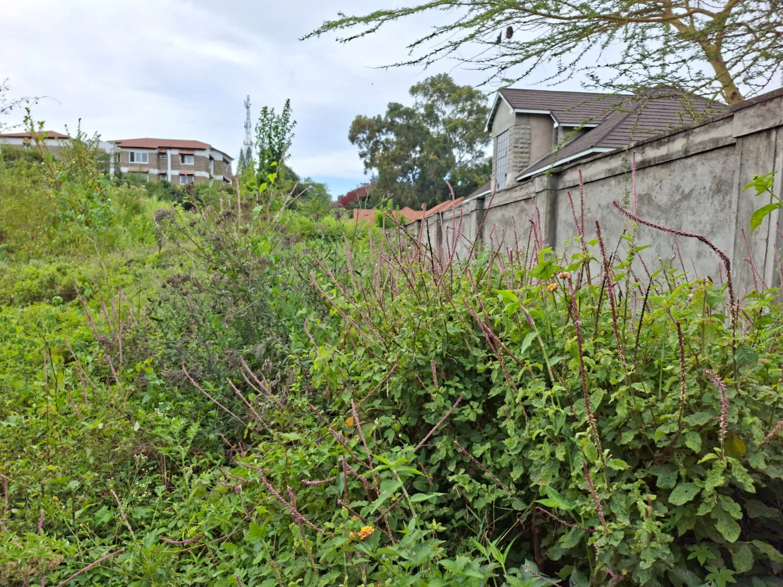 2 Acre Land for Sale in Karen land for sale in Karen photo 4