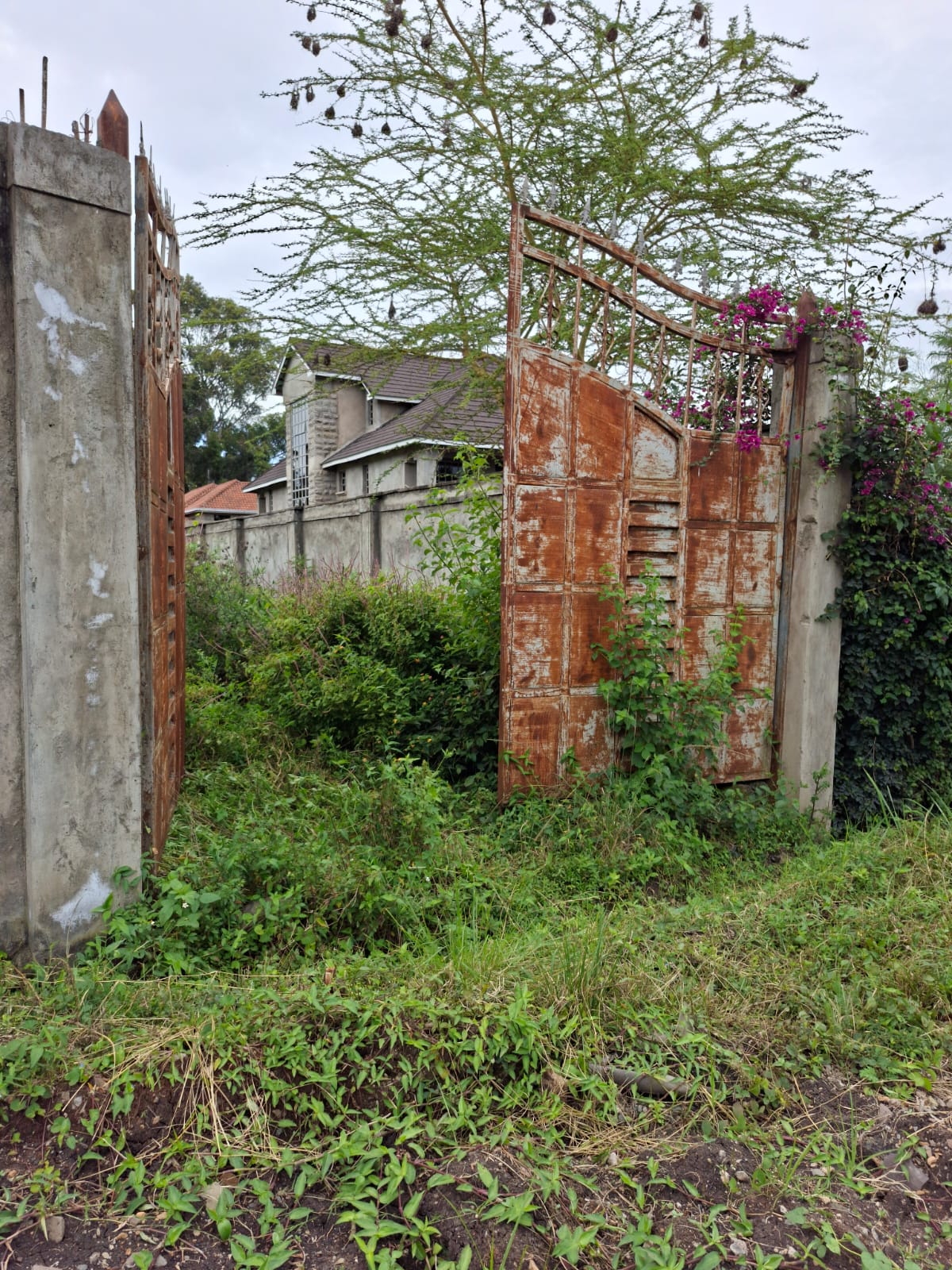 2 Acre Land for Sale in Karen land for sale in Karen photo 5
