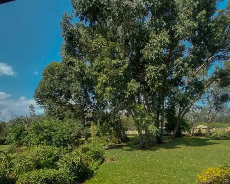 Hardy Manor thumbnail 7