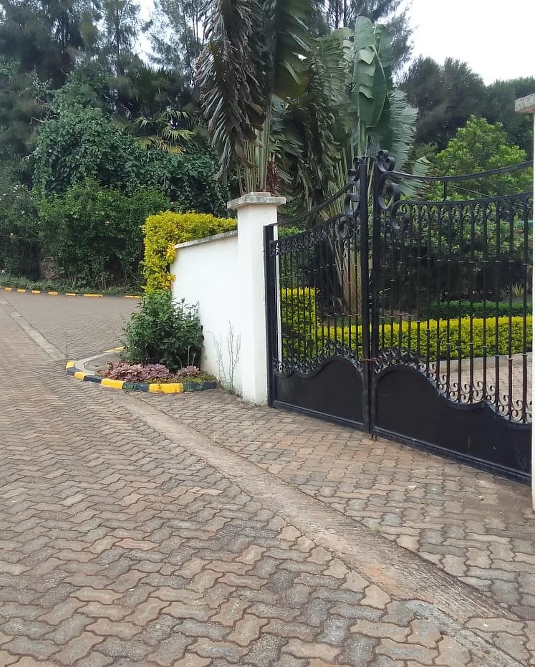 Karen Oak thumbnail 4