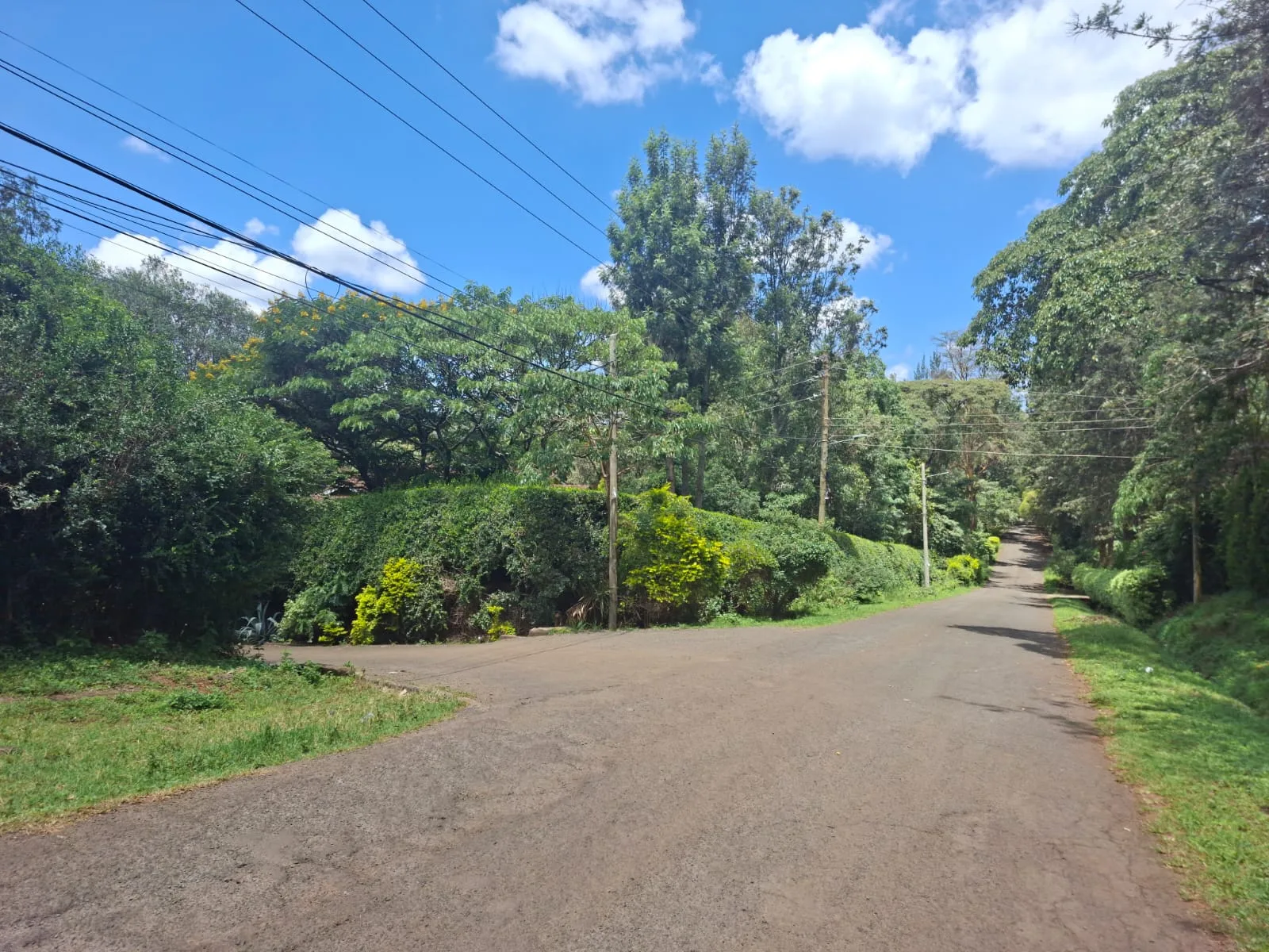 1.2 Acre Land for Sale in Karen dcdz - Land in Karen photo