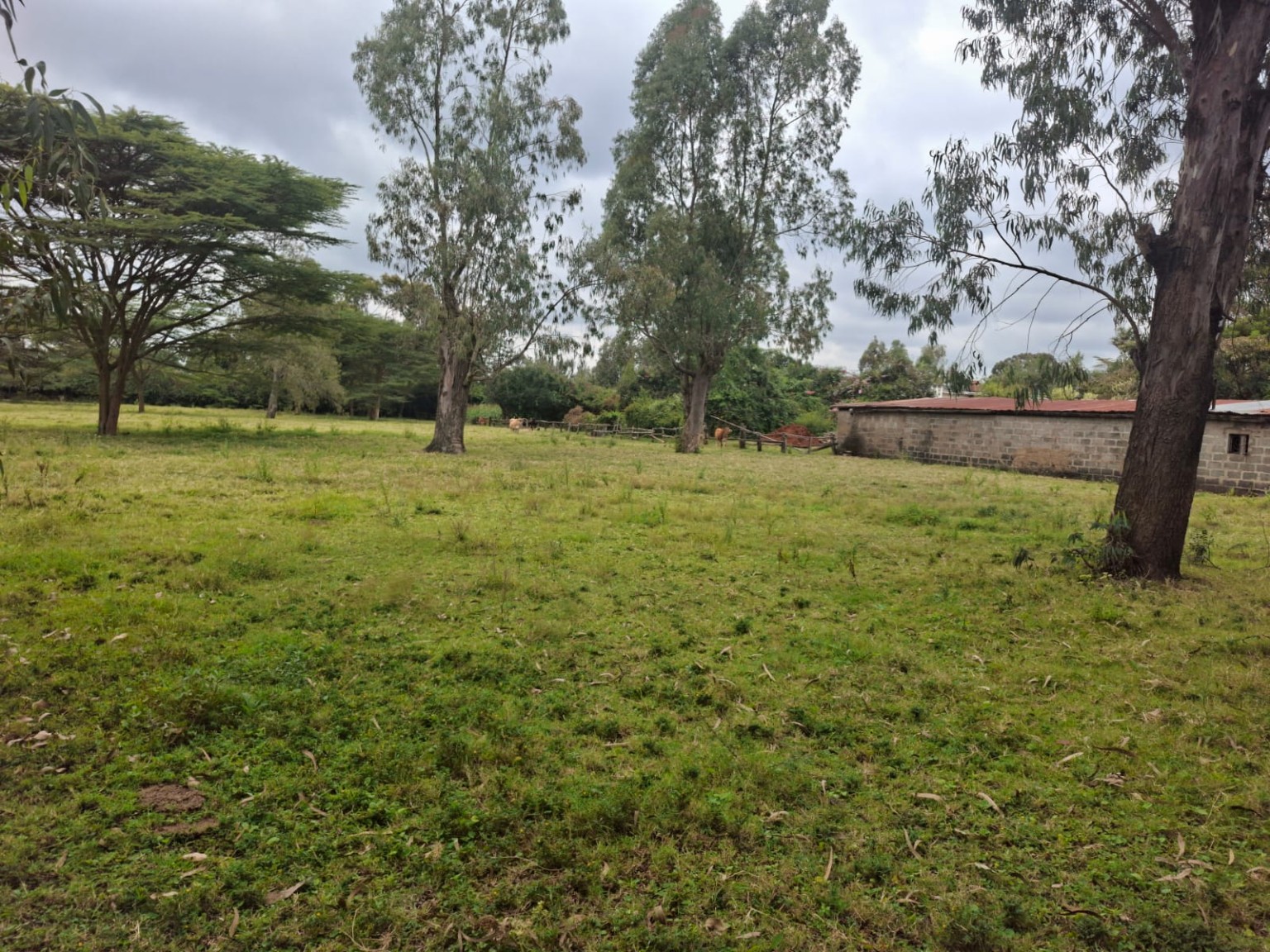 Kombe Road — One-Acre Residential Plot for Sale, Karen land for sale in Karen main photo