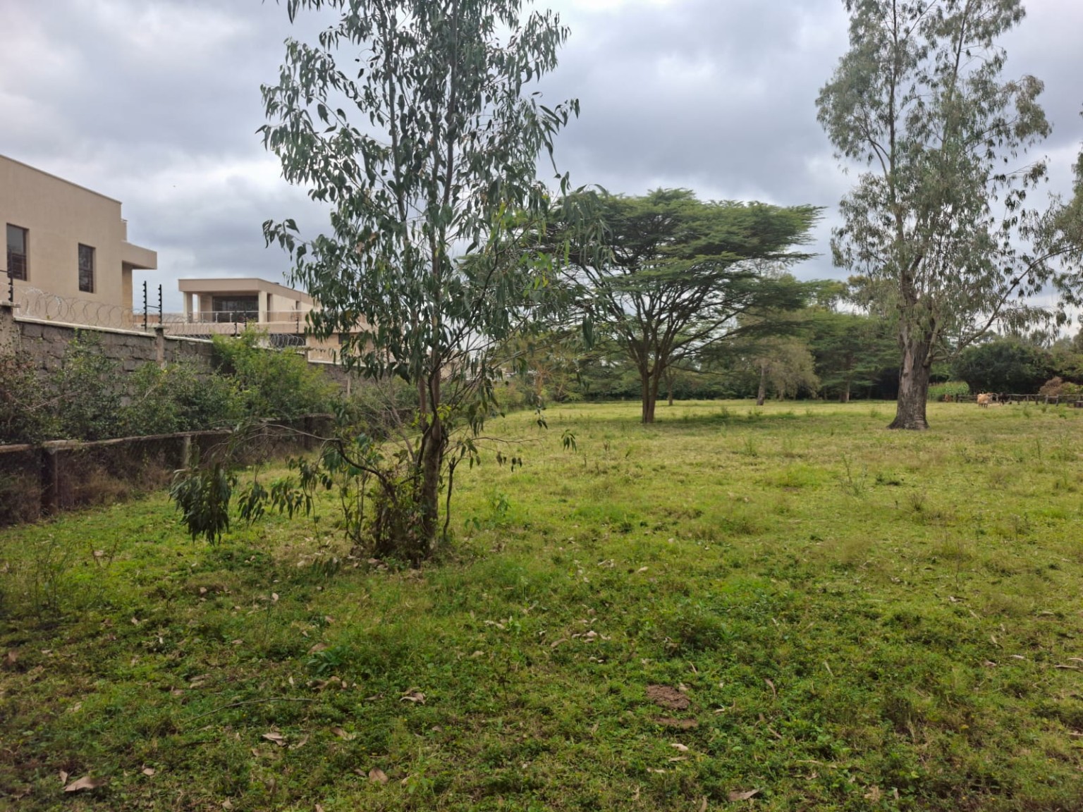 Kombe Road — One-Acre Residential Plot for Sale, Karen land for sale in Karen photo 2