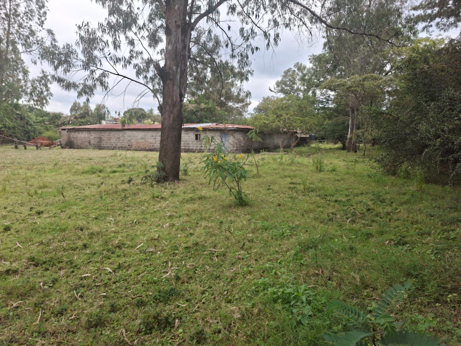 Kombe Road — One-Acre Residential Plot for Sale, Karen land for sale in Karen photo 4