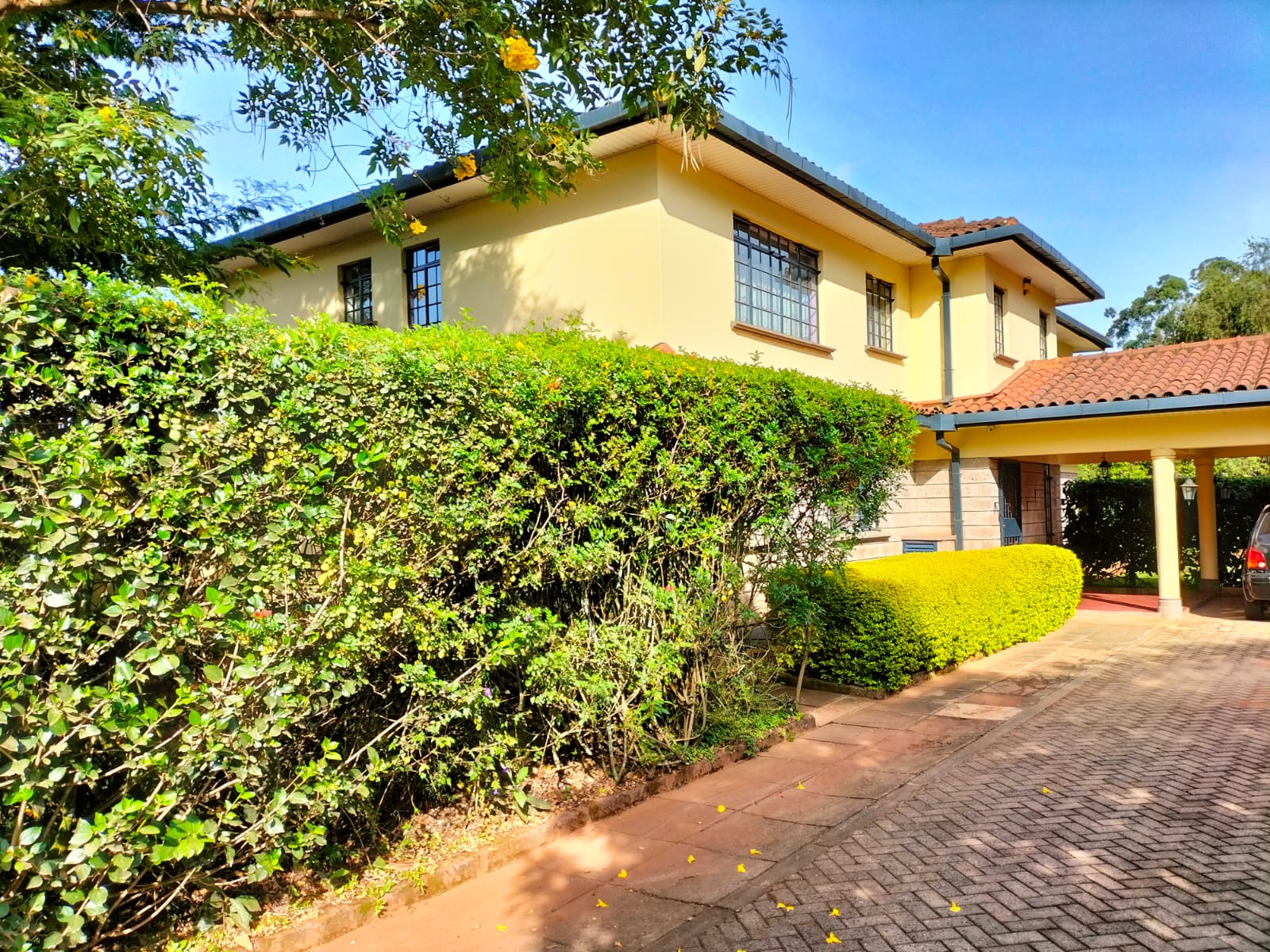 Miotoni Common thumbnail 2