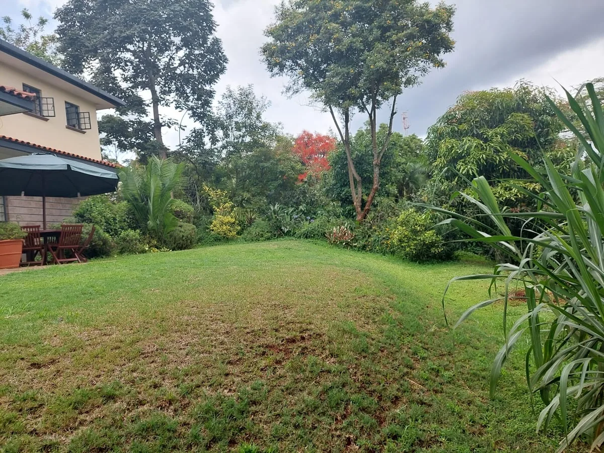 Miotoni Common thumbnail 3