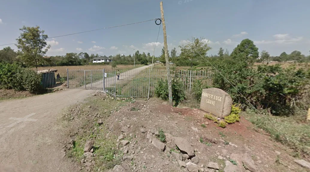 Forest Edge Grove thumbnail 3