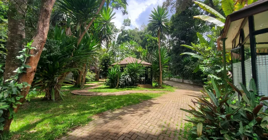 Dari Business Park thumbnail 5