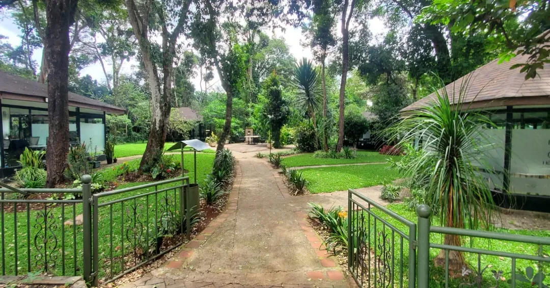 Dari Business Park thumbnail 6